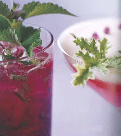 Market Watch: Berry Tastings, DIY Berry Cocktails & More