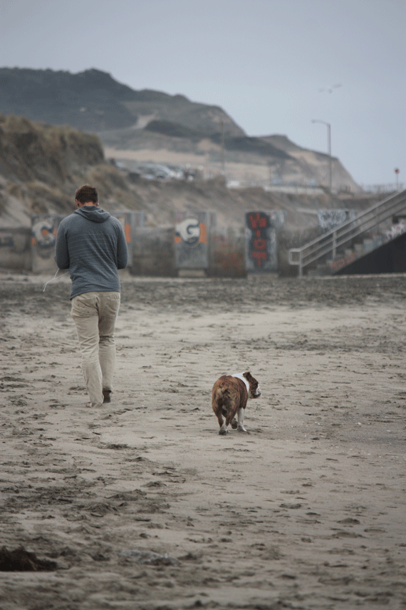 It's a Hard Knock Life for an Ocean Beach-Loving Dog