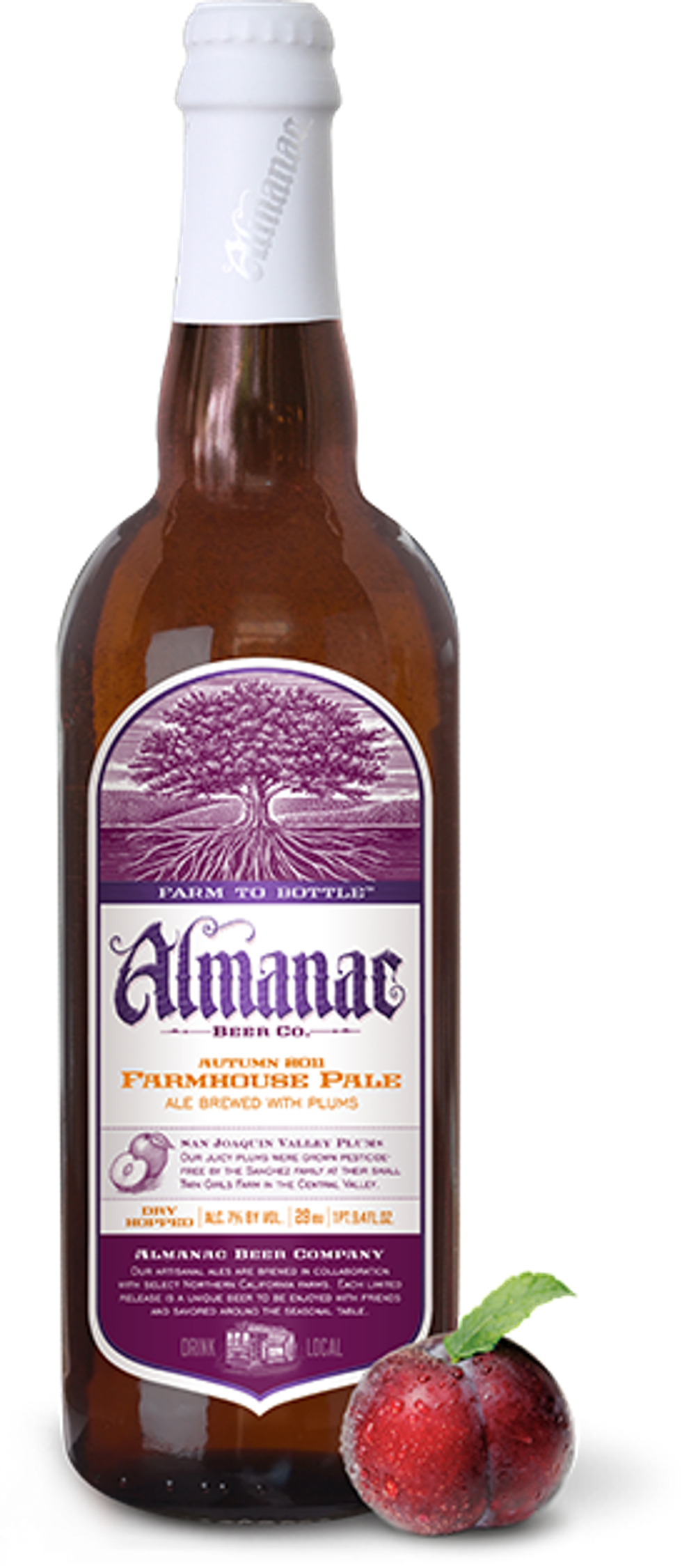 Limited Release Brew at City Beer Store