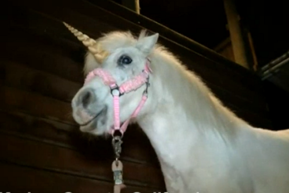Unicorn Sighting Causes Police Chase in Central California (VIDEO)