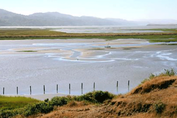 Hike the Tomales Bay Trail for Open Vistas and Stunning Views