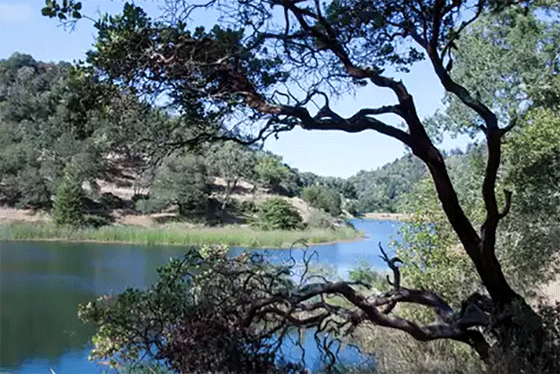 Ultimate Weekend Hike: Amble Around Marin's Phoenix Lake