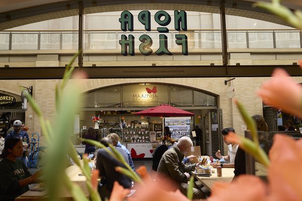 Ferry-Building-san-francisco-nopa-fish-market-restaurant
