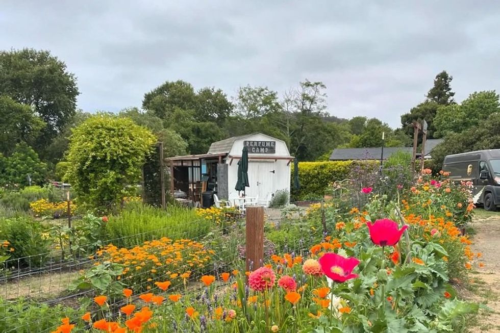 Flowers bloom in a colorful garden by a small white building marked "Perfume Camp."