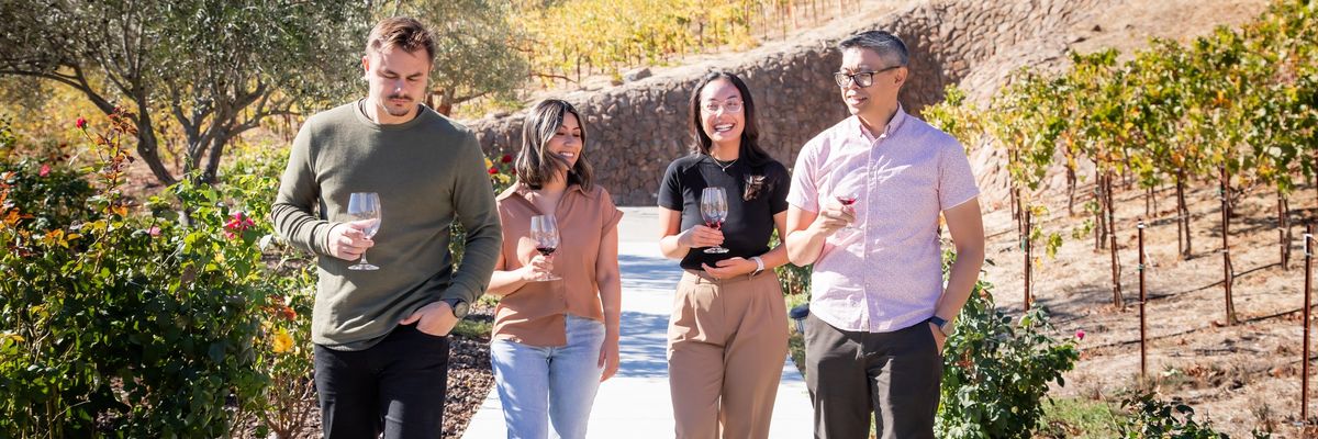 Four people walking through a vineyard, holding wine glasses.