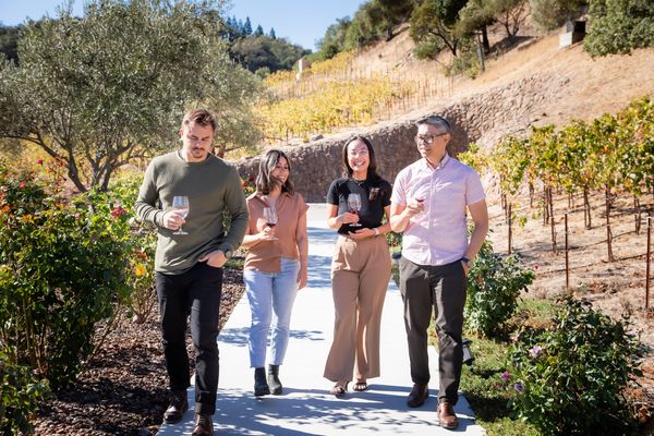 Four people walking through a vineyard, holding wine glasses.