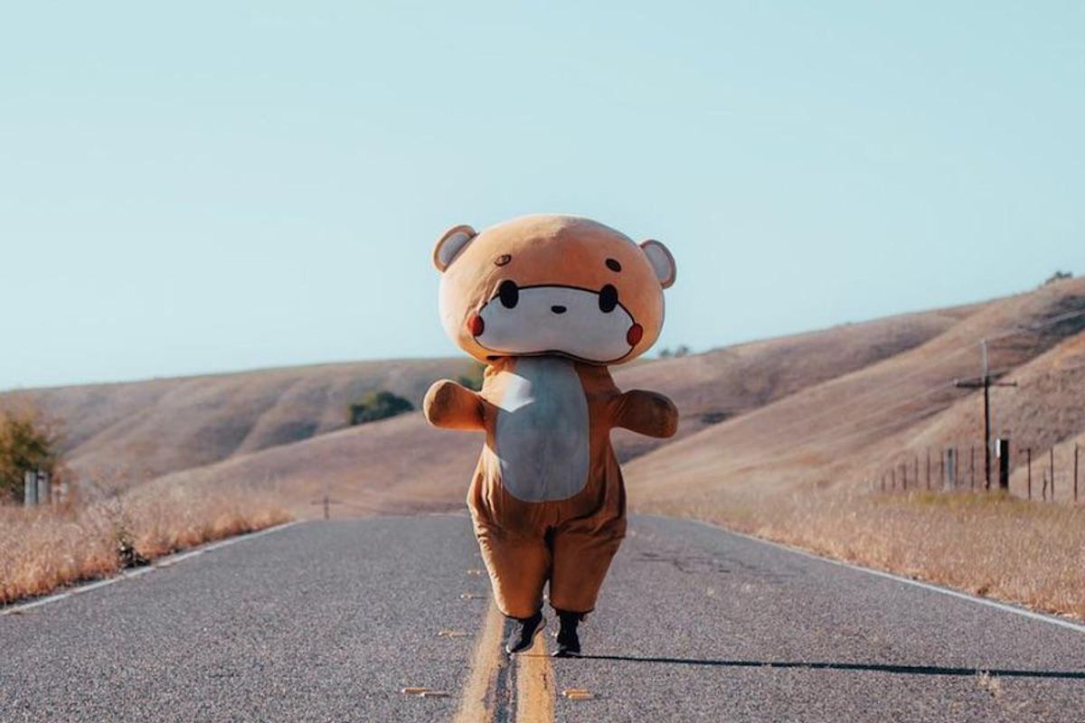 A live teddy bear treks from L.A. to SF for charity + more good news around the Bay Area