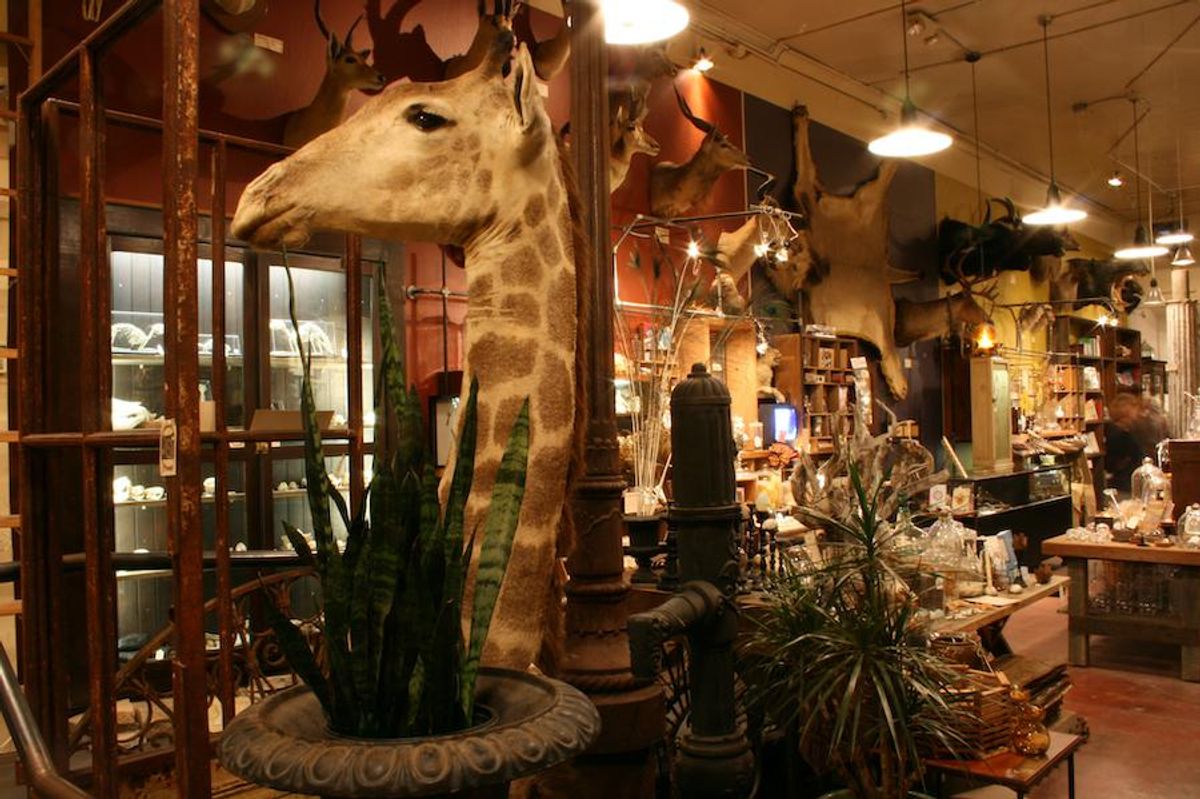 Where to Shop on Valencia Street in San Francisco 7x7 Bay Area