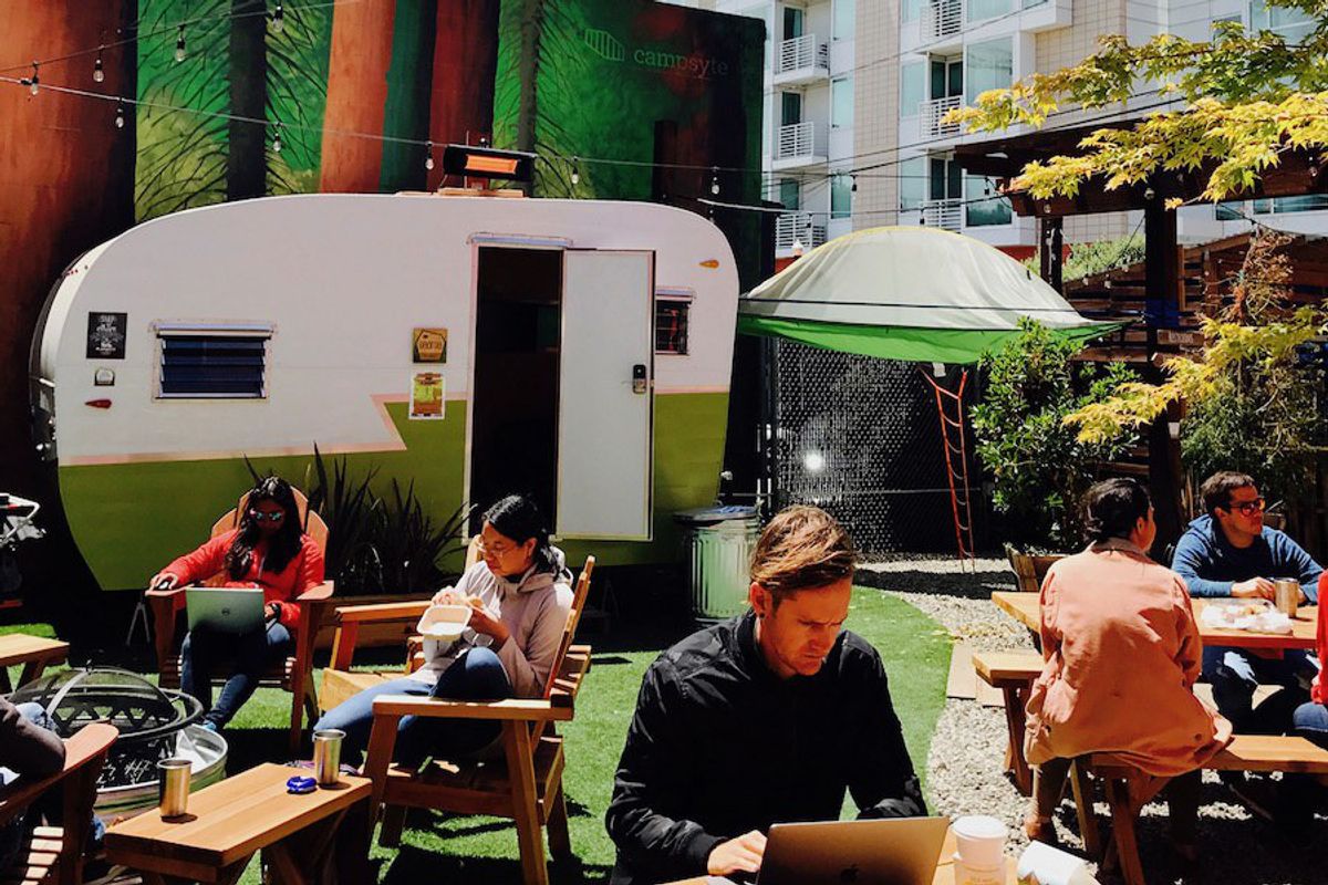 A co-working campground opens in SF, baby falcons nest at Cal + more Bay Area news