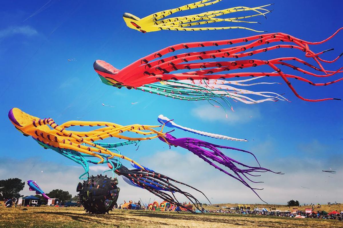High as a Kite: 13 Fluttering Instagrams From This Weekend's Berkeley Festival