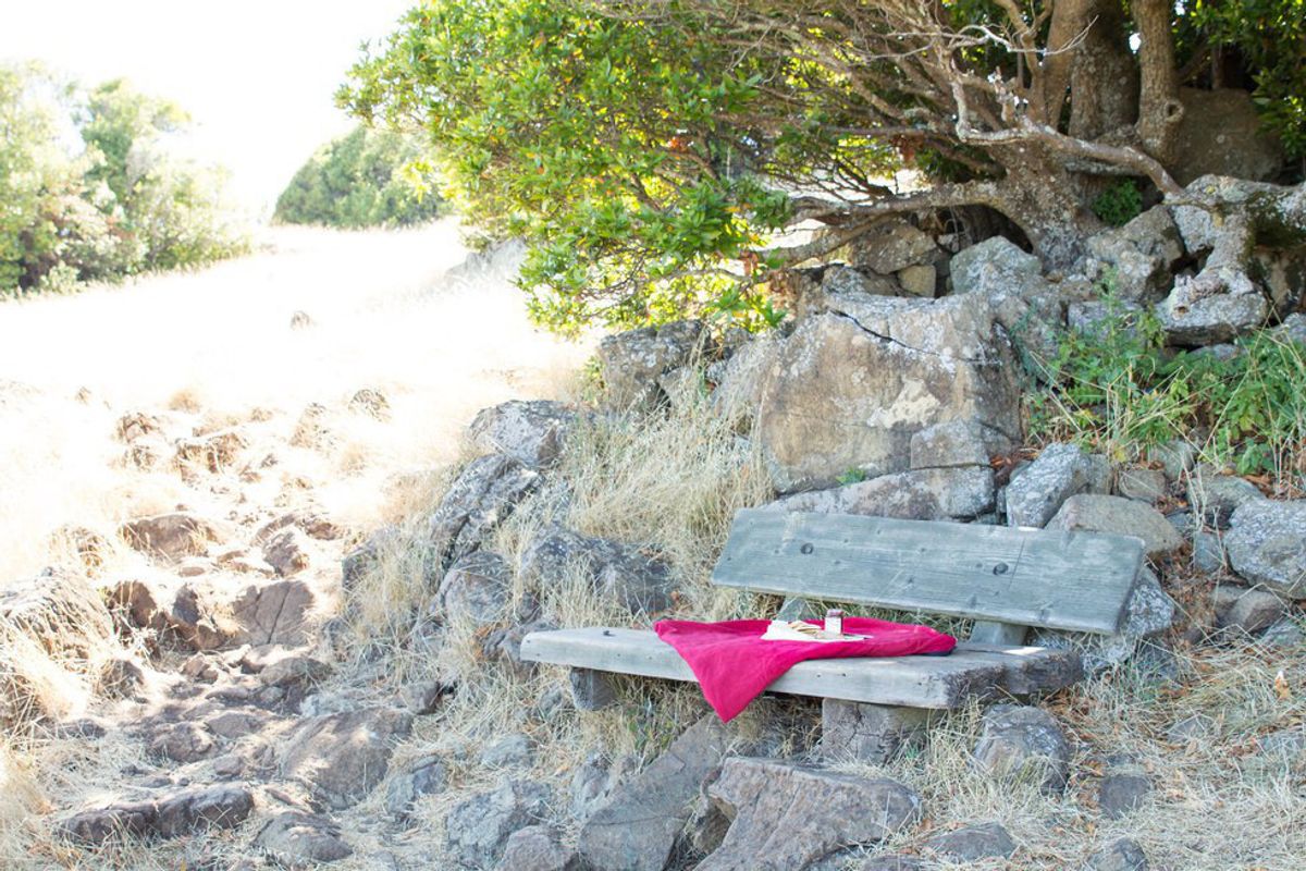 Pack a picnic and head for the bench with the best views in Marin