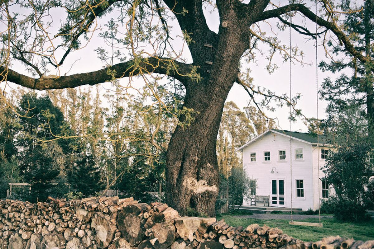 Home Tour: Less is more in this centuries-old Sebastopol farmhouse