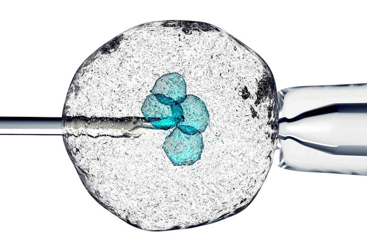 The Birds and the Bees: Fertility Preservation for the Next Generation