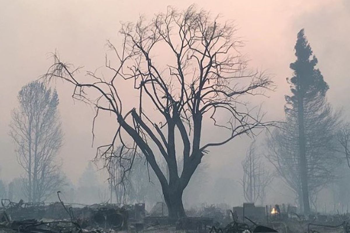 Here's How You Can Help Those Affected by the North Bay Fires