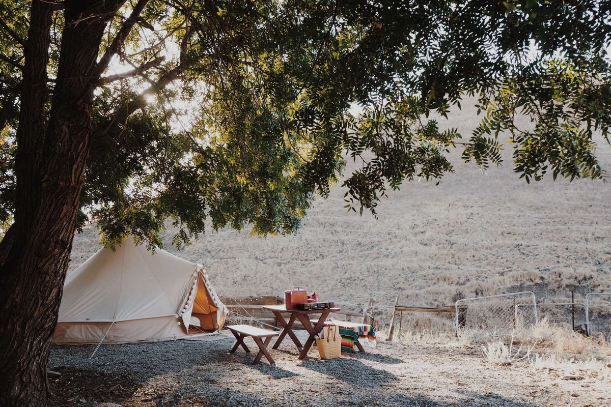 Relaxing Bay Area Camping Retreats For Thanksgiving Week
