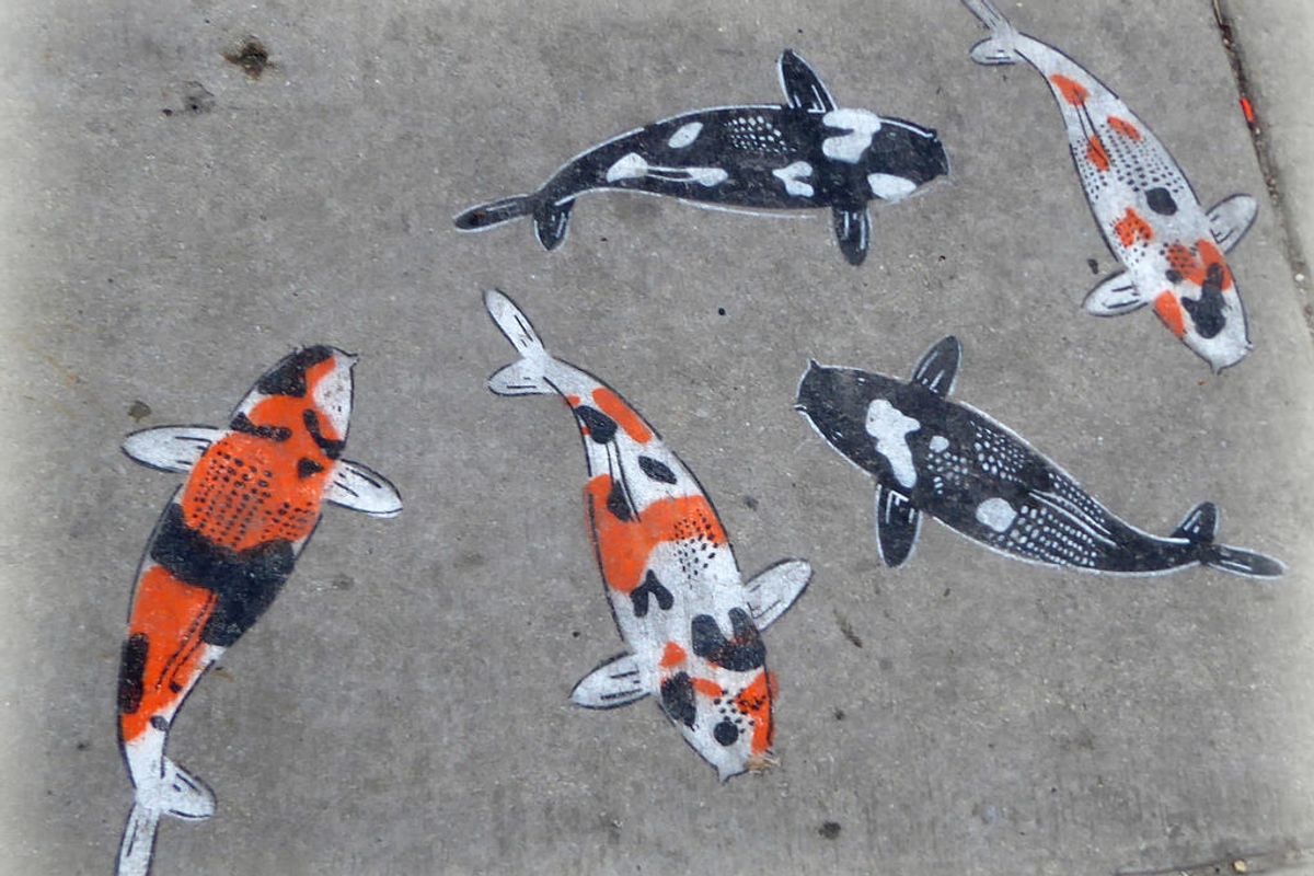 23 Works of Sidewalk Art in the Bay Area