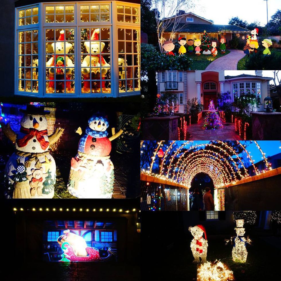 Christmas Tree Lane, Palo Alto 7x7 Bay Area