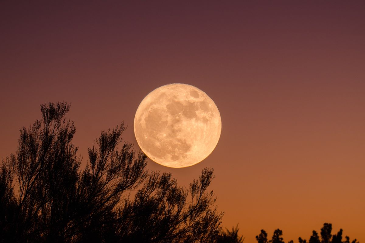 Where to See January's Wolf and Blood Moons