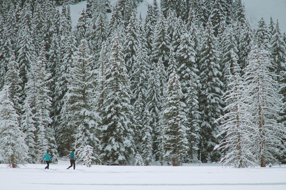 5 Great Snowshoe Tours + Treks to Try in Tahoe