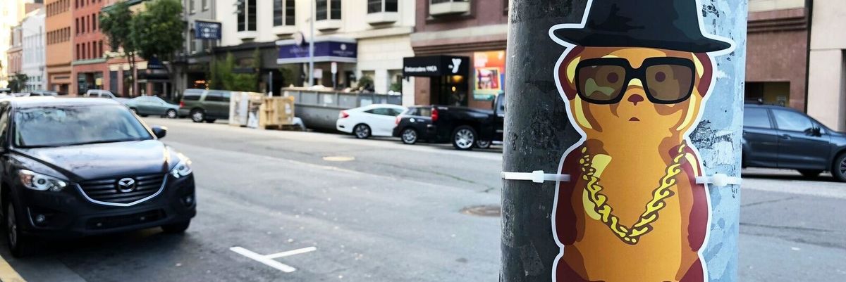 Street artist fnnch bombs downtown San Francisco with 450 cute-AF honey bears