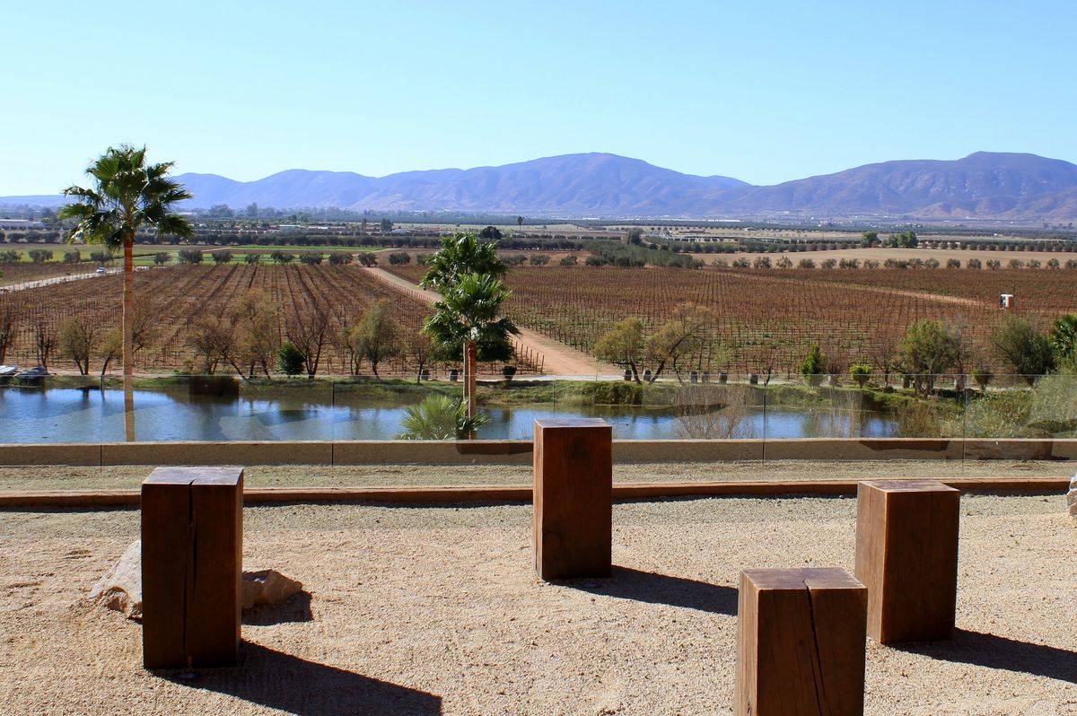 The New Wine Country: Ridiculously Good Vino, Fresh Eats + Stylish Stays in Valle de Guadalupe