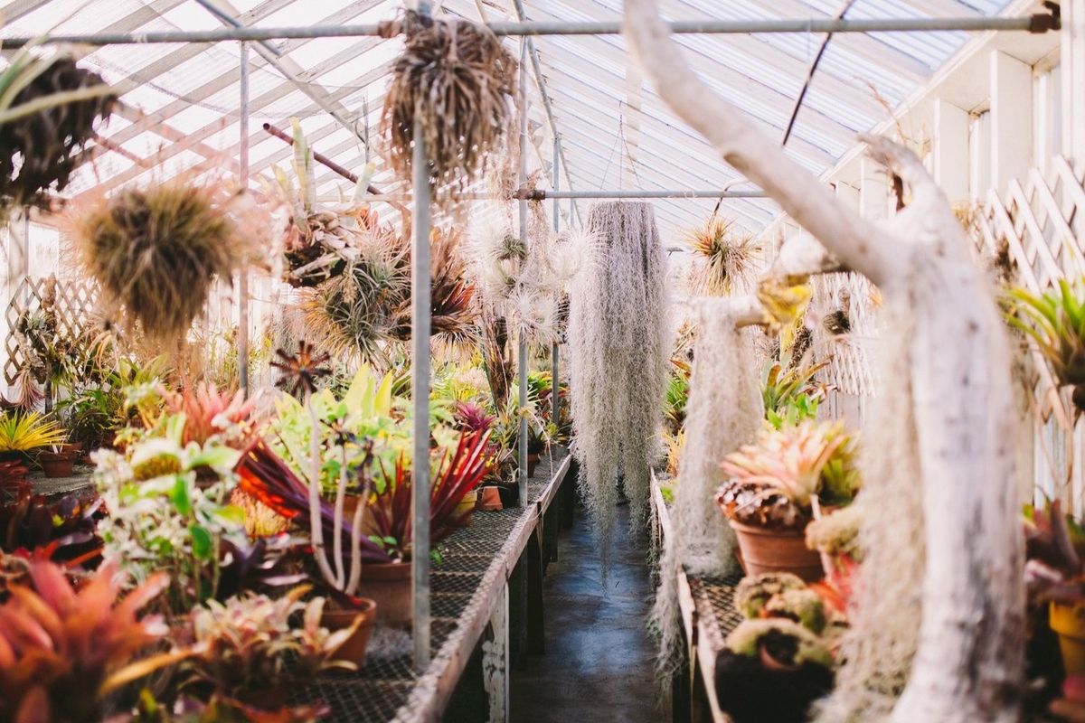 6 Downright Wild Flower and Plant Shops in the Bay Area