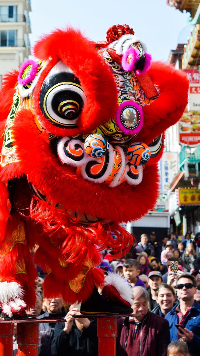 Vivid Scenes From San Francisco's Chinese New Year Parade