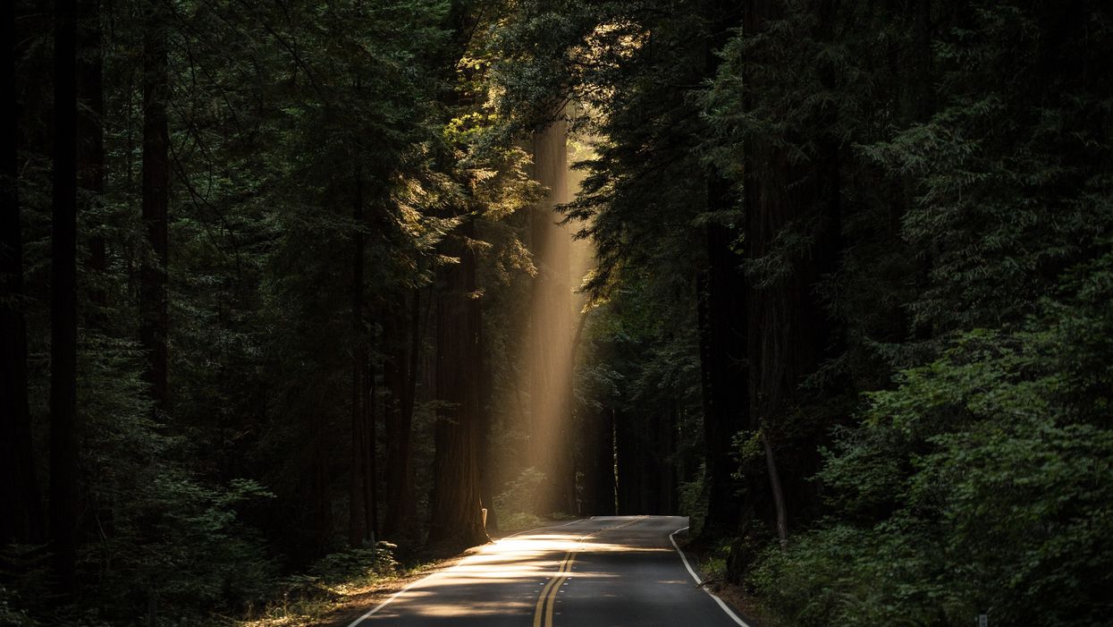 Explore the Redwood National and State Parks with this 3-day itinerary