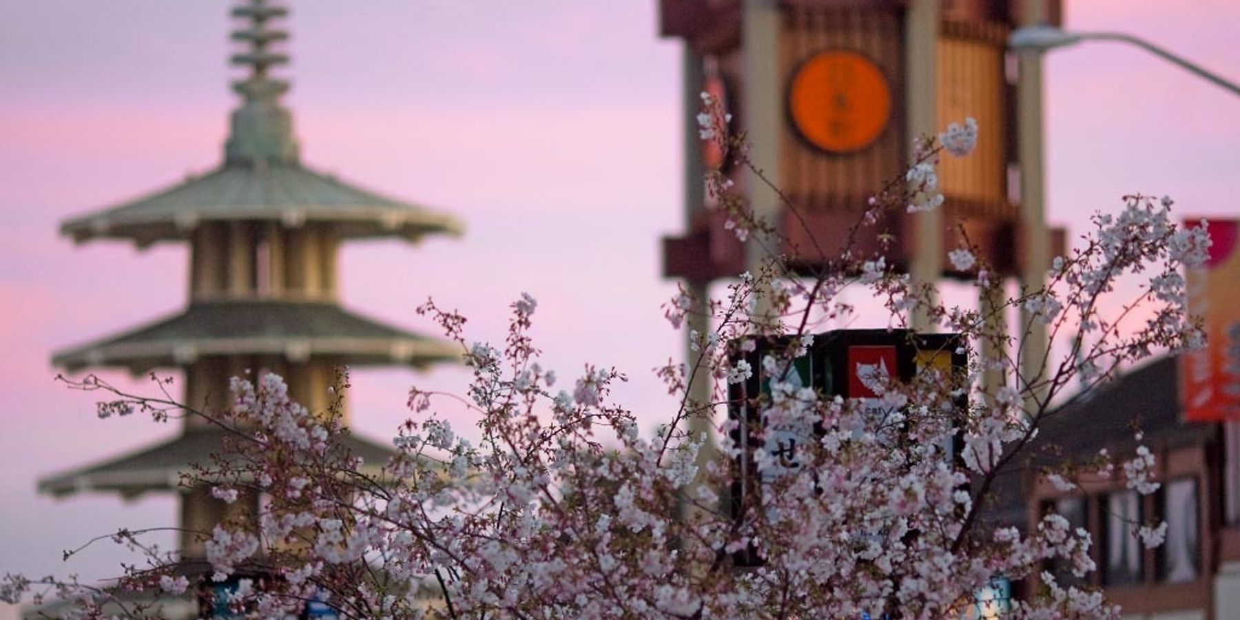 13 Fun Things: Get tipsy at Cider Fest, don't miss the Cherry Blossom Festival + more events this week