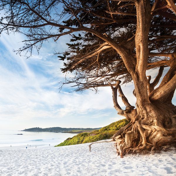 GIVEAWAY! Win a two-night stay in charming Carmel-by-the-Sea!