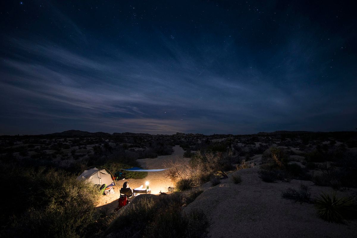 The Ultimate Guide to Camping in the Mojave Desert