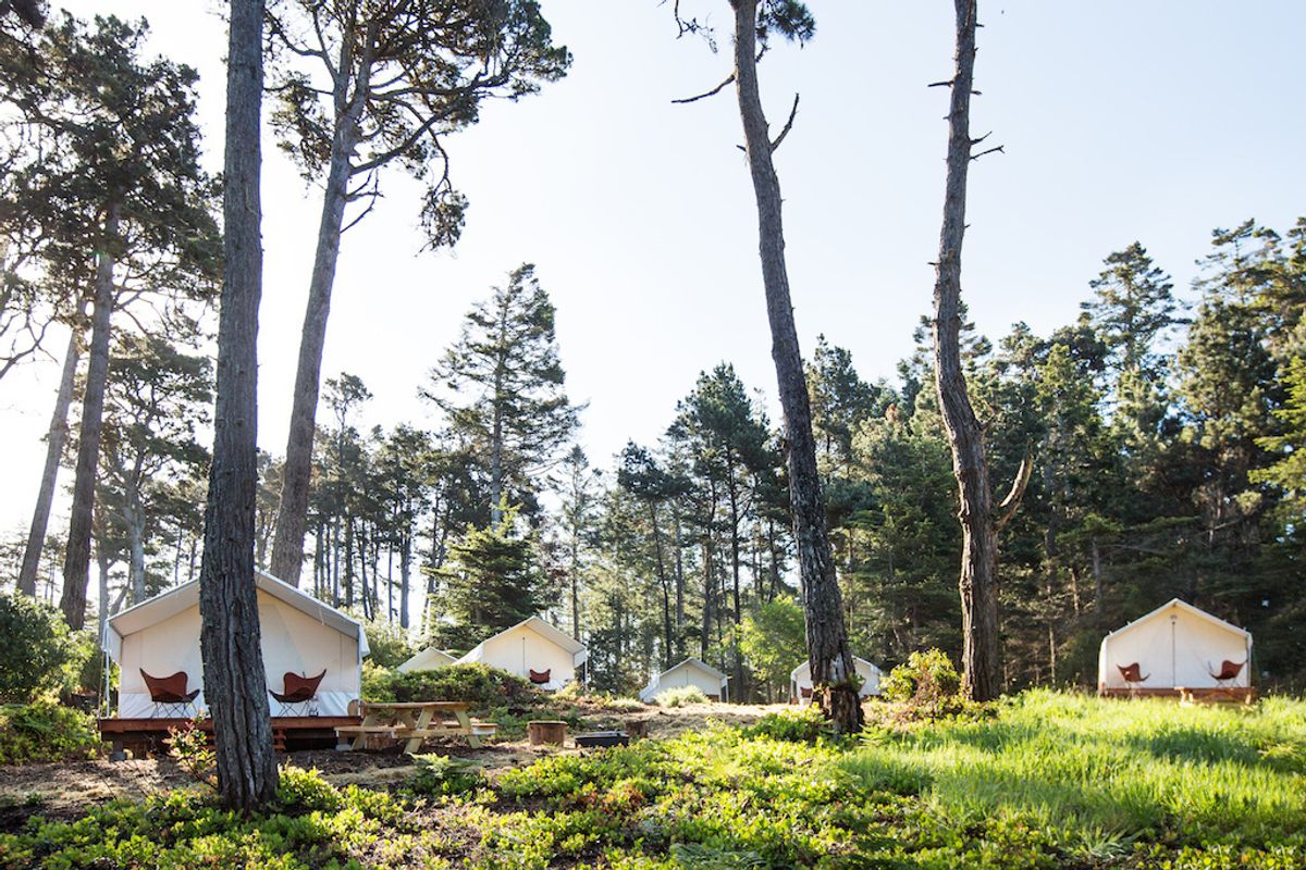 It's a rough life (not) at new glampsite Mendocino Grove
