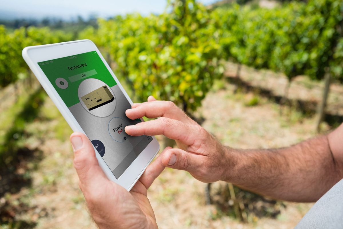 Your favorite wine may have just been saved by a backup generator