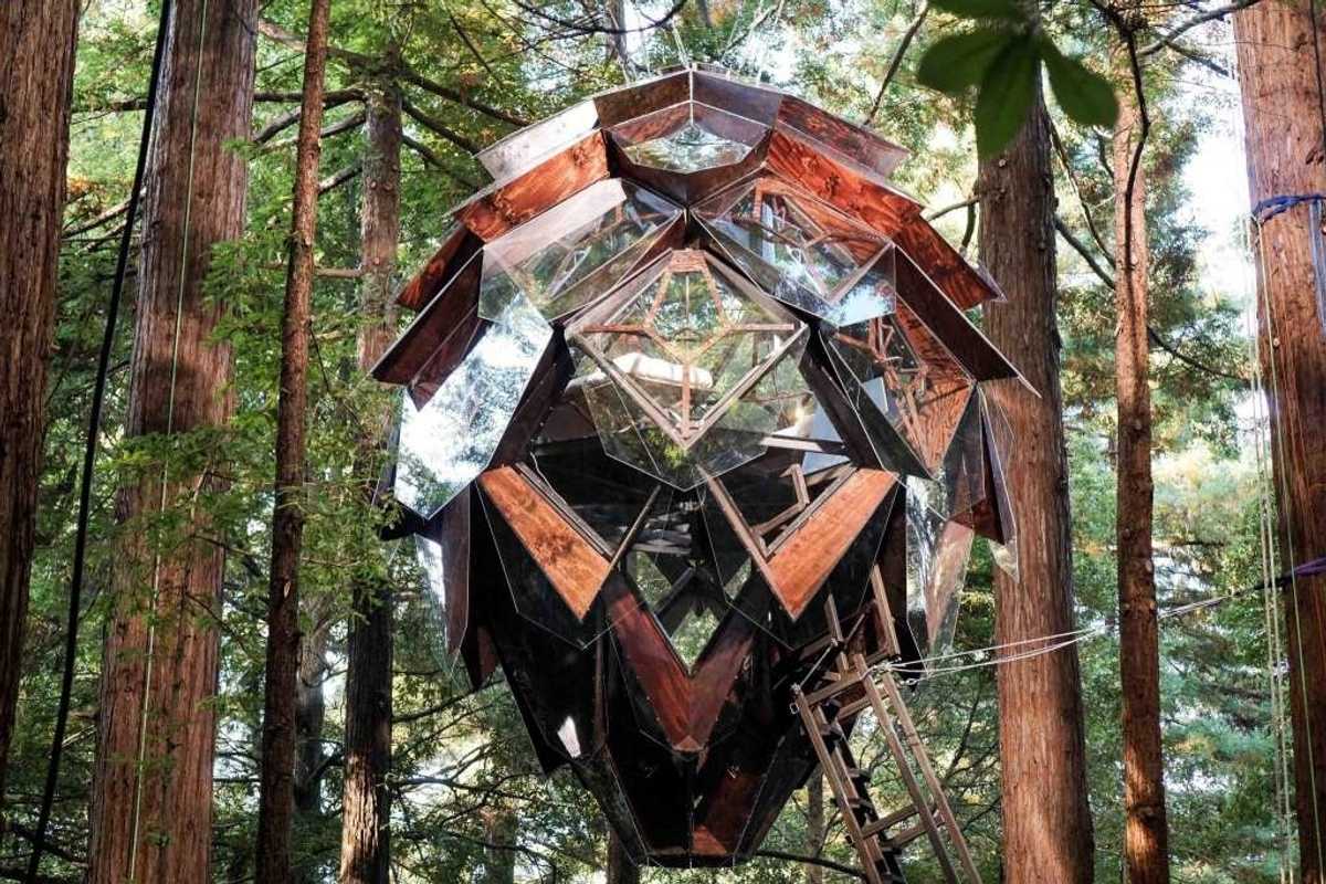 Crazy pine cone treehouse hits the market for $150K, GGB tolls may reach $10 + more local topics to discuss over brunch