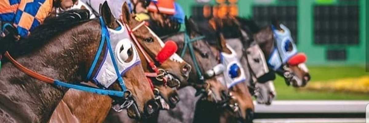 A Newbie's Guide to the Races at Golden Gate Fields