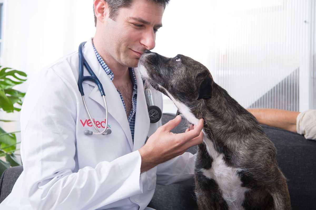 The Start-up That’s Leading the Pet Wellness Movement