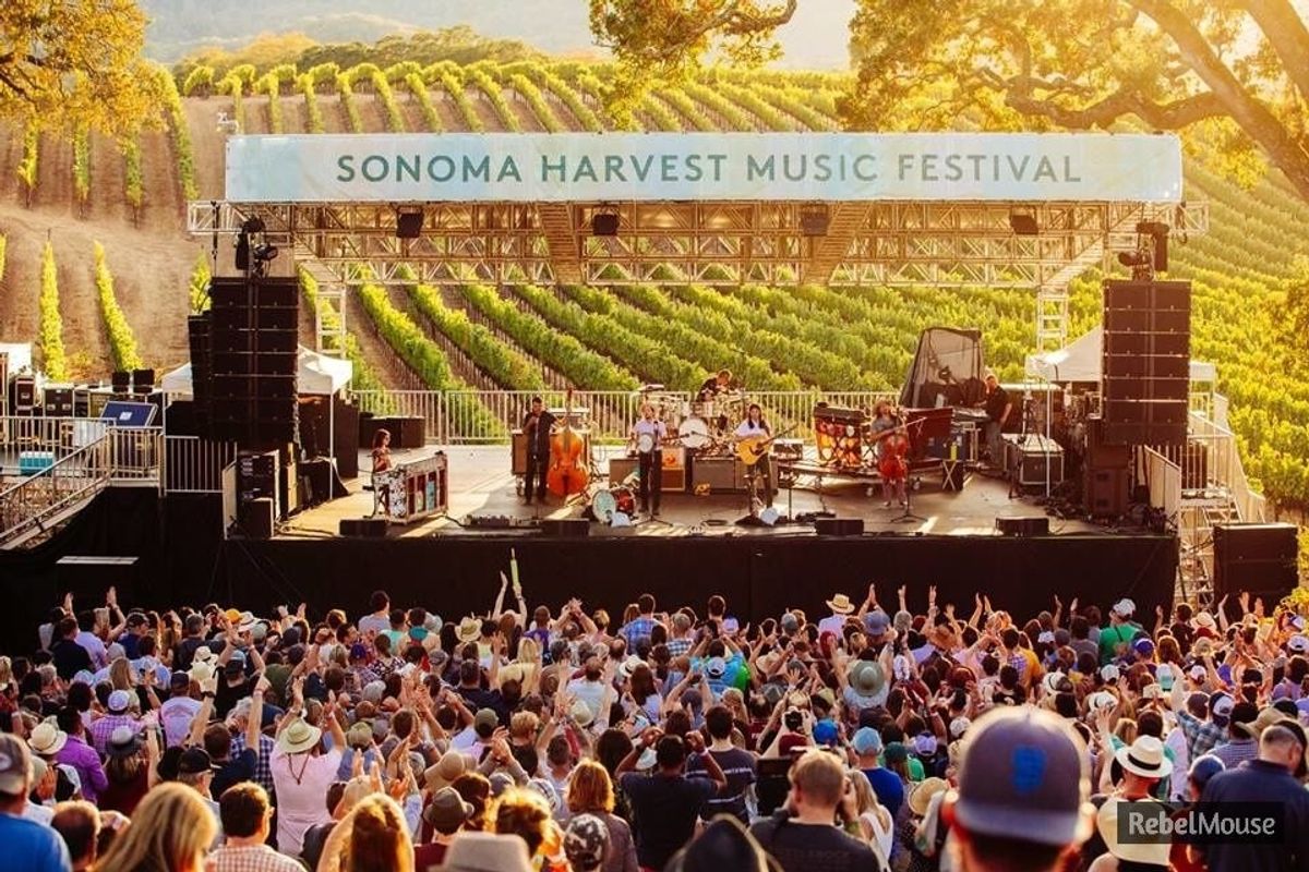 Wine Country's Can't-Miss Summer Festivals + Concerts