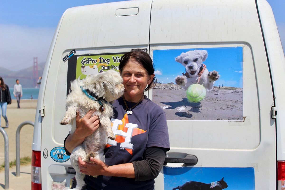 GoPro Dogs founder Ingrid Gordon captures Bay Area pups living their best lives