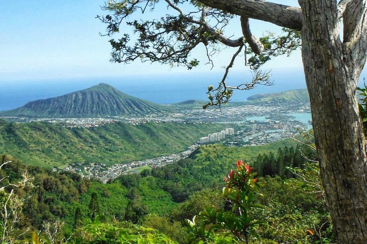 5 Showstopping Nature Hikes on Oahu