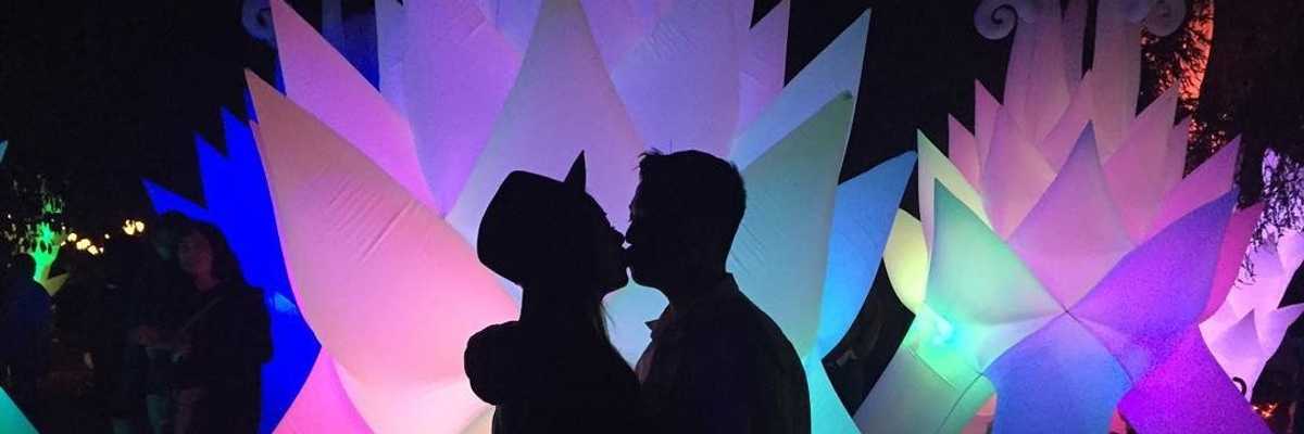31 Fun Things: Autumn Lights Festival, Día de los Muertos, Wharf Fest + More Bay Area Events