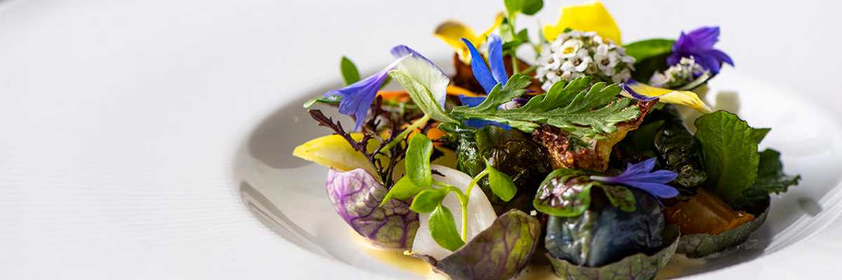 Inside the Front of the House: Secrets of Manresa's Michelin-Star Service