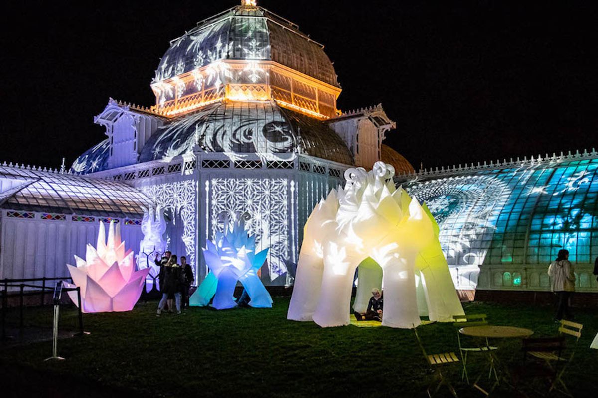 28 Fun Things: Night Bloom, West Coast Craft, Hip Hop Nutcracker + More Bay Area Events