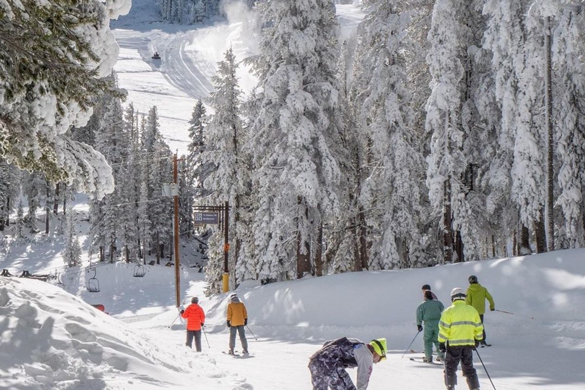 The Best Bunny Slopes for Beginner Skiers in Tahoe