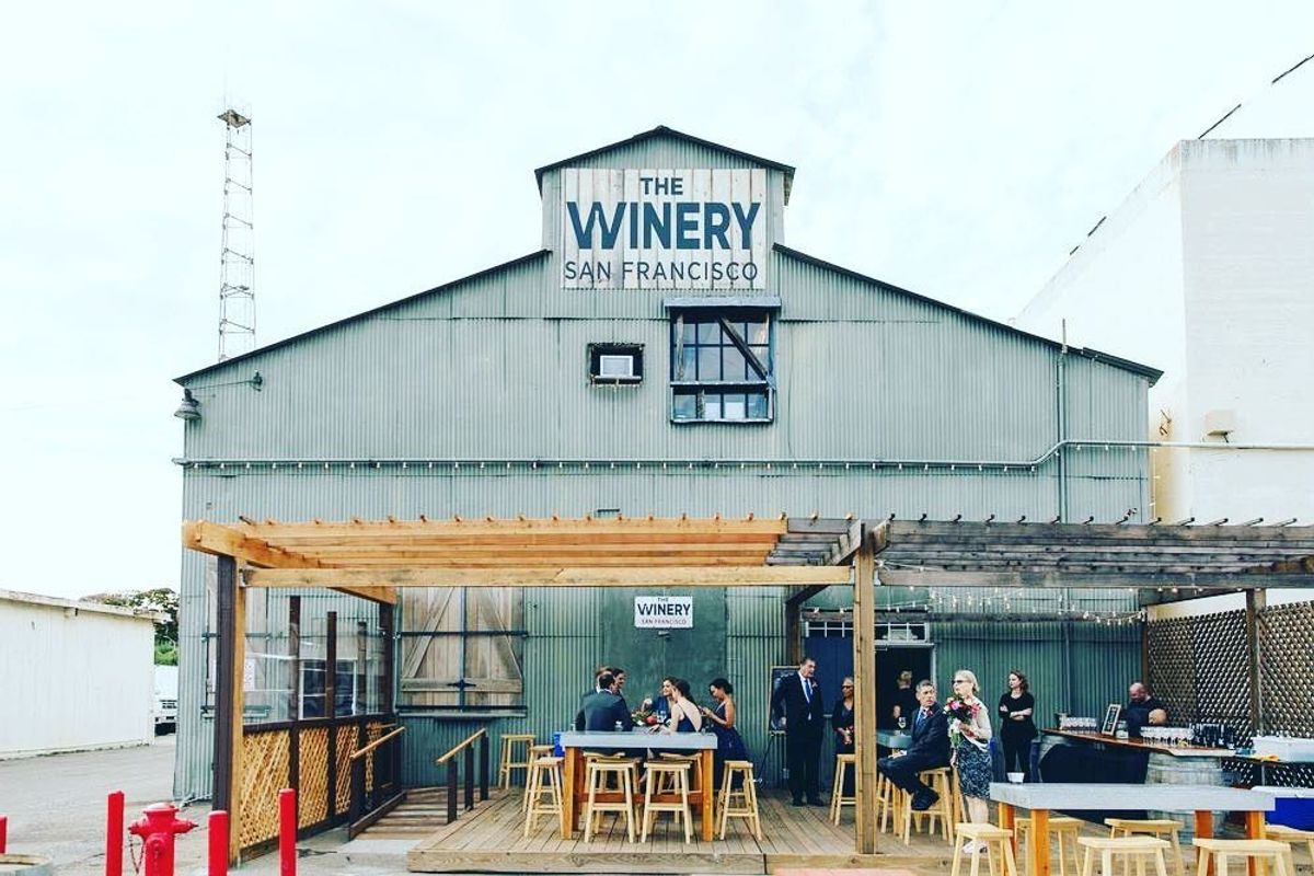 Walking Tour: The Scenic Wineries of Treasure Island