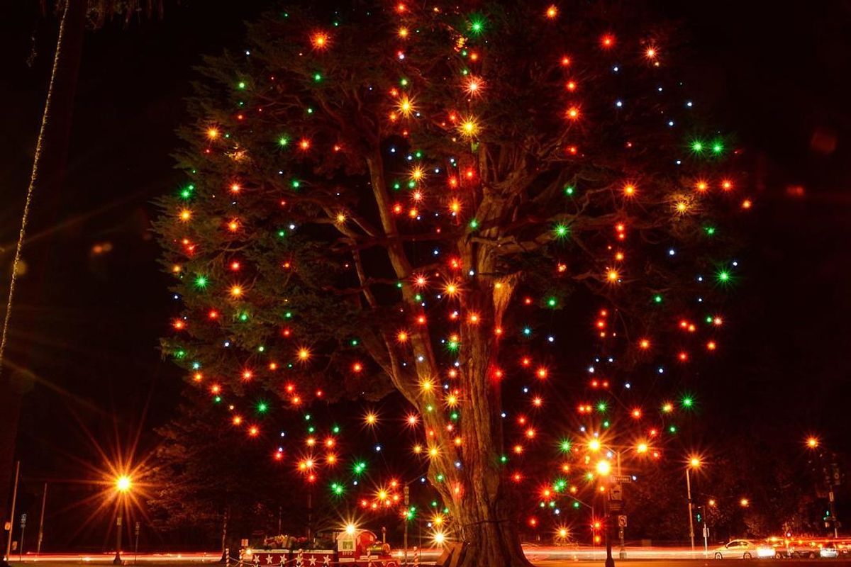 The Story Behind SF's Official Christmas Tree + More Topics to Discuss Over Brunch