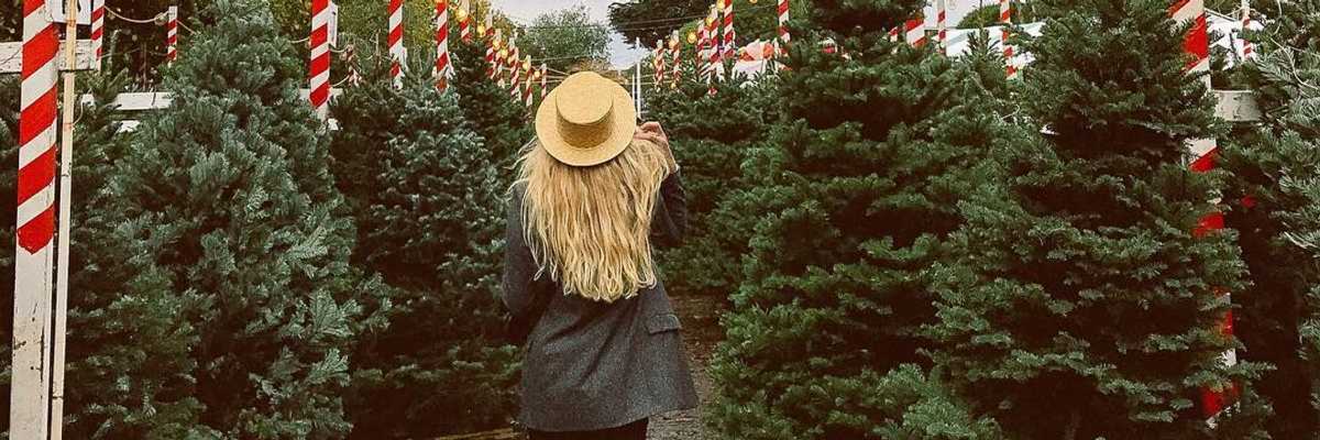 7 Best Christmas Tree Lots in the San Francisco Bay Area