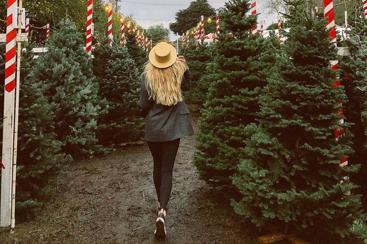 7 Best Christmas Tree Lots in the San Francisco Bay Area