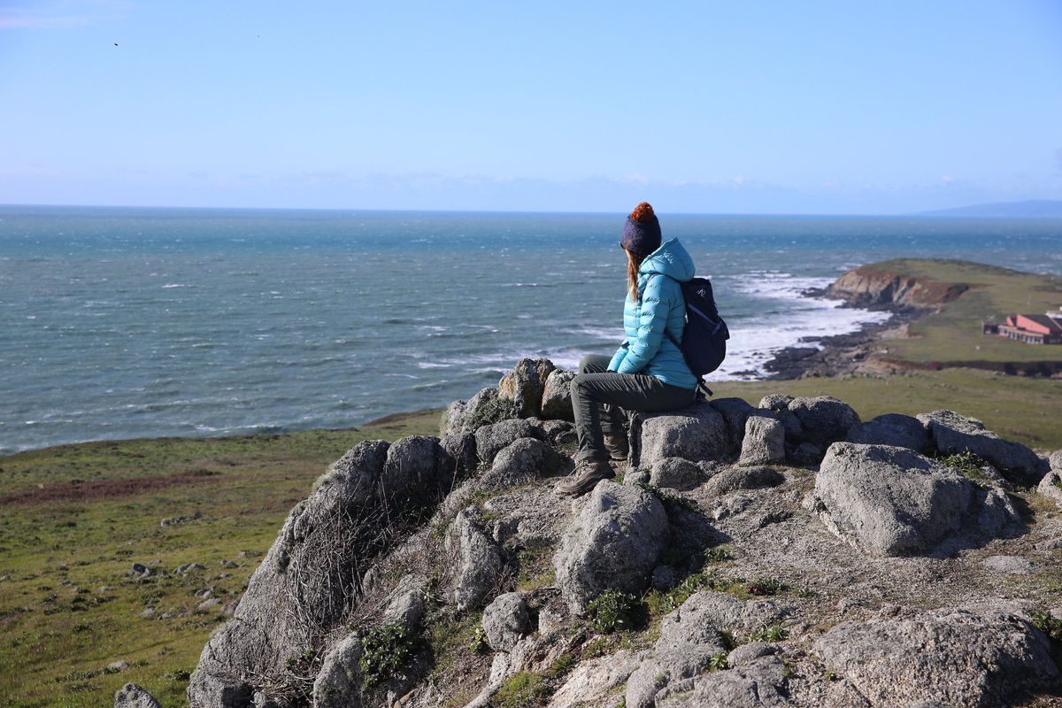 Where to whale watch (with wine tasting!) near San Francisco this winter