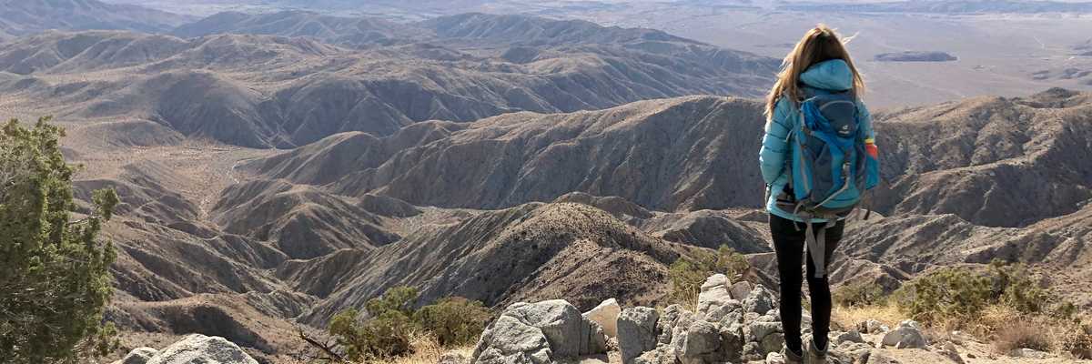 Two Dreamy Days in Joshua National Park