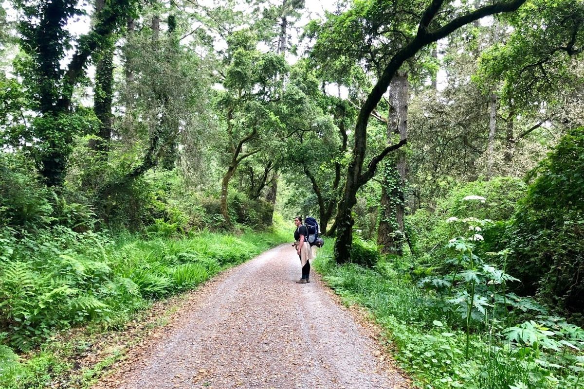 Backpacking for Beginners: Sky Campground in Point Reyes National Seashore
